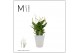 Spathiphyllum bellini 8+ bloem - Wave keramiek, Basic - Decorum 