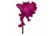 Cyclamen pers. super serie merengue paars 
