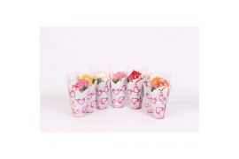 Gerbera mix 2+ in hartjes hoes