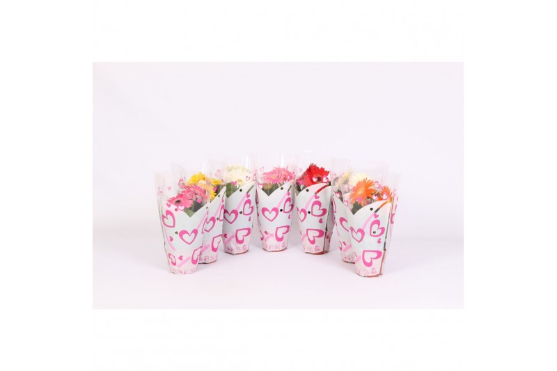 Gerbera mix 2+ in hartjes hoes 