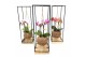 Arrangementen orchidee Kokodama 12 cm Industrial Wood Frame Orchidee 2 