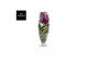 Vanda hybriden Champagne glas - Pink/Cerise/Fuchsia 