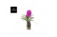 Vanda hybriden Bose XL glas - Pink/Cerise/Fuchsia 