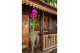 Vanda hybriden Bose XL glas - Pink/Cerise/Fuchsia 