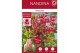 Nandina domestica obsessed 