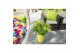 Nandina domestica magical lemon and lime 