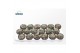 Cactus Lophophora Williamsii (old Plants) 