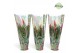 Vriesea multiflora mix 2 soorten Jungle hoes 