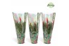 Vriesea multiflora mix 2 soorten Jungle hoes