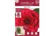 Camellia japonica black lace premium 