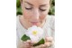 Camellia japonica winter perfume pearl premium 