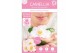 Camellia japonica winter perfume pearl premium 