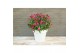 Buddleja davidii butterfly candy little ruby 