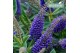 Hebe hebedonna britta Hebe Addenda Donna® 