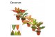Aglaonema mix Aglaonema mix 9 cm (Decorum) 1 pp 