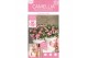 Camellia japonica strawberry swirl premium 