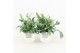 Phlebodium blue star in liv keramiek 