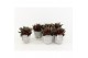 Peperomia caperata rosso in stone look pot 