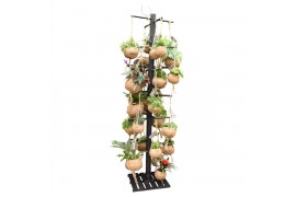 Hangplanten mix Kokodama Black Tree INCLUDING 48 best selling Kokodama