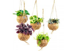 Kamerplanten mix Kokodama Green+ Collection hangup