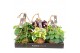 Kamerplanten mix Kokodama Green+ Collection hangup 