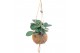 Kamerplanten mix Kokodama Green+ Collection hangup 
