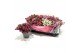 Gaultheria mucronata mixtray met kraag 