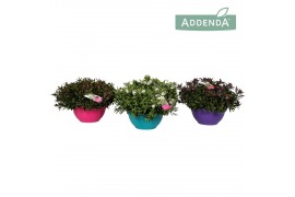 Hebe addenda mix donna in ton sur ton decoschaal mixlaag