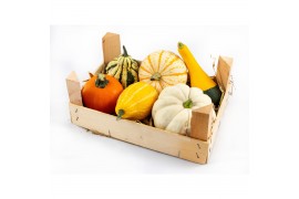 Cucurbita Houtenkistje met kalebassen (1002)