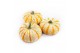 Cucurbita Lil-Pump-ke-mon 12 (1013) 