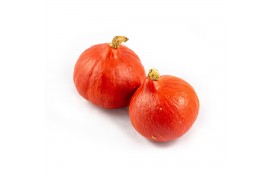 Cucurbita Rode Hokkaido 8 (1009)
