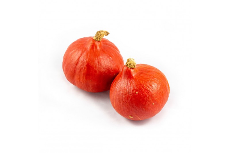 Cucurbita Rode Hokkaido 8 (1009) 