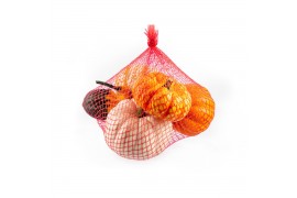 Cucurbita Sierfruit in netje 5 (1003)