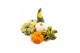 Cucurbita pepo Sierfruit mix 12 (1006) 