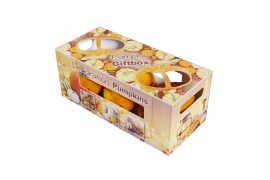 Cucurbita Pumpkin Giftbox (0101)