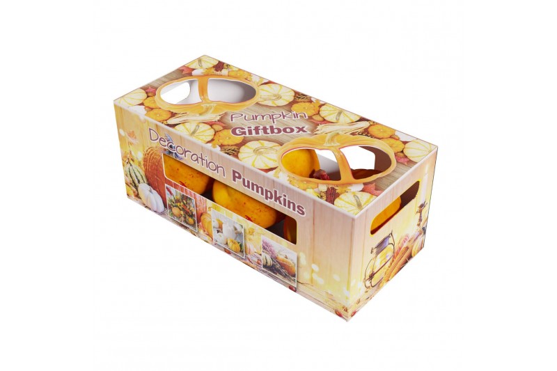 Cucurbita Pumpkin Giftbox (0101) 