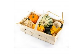 Cucurbita Aardbeienmandje met kalebassen (1001)