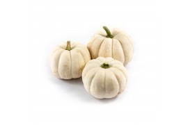 Cucurbita Casperita 12 (1021)