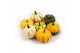 Cucurbita Daisy Gourd 25 (1024) 