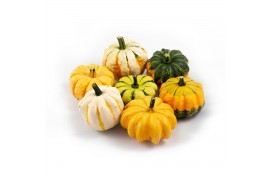 Cucurbita Daisy Gourd 25 (1024)