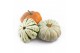 Cucurbita pepo Diverse sierpompoenen 3 (1048) 
