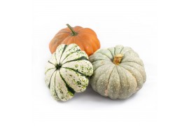 Cucurbita pepo Diverse sierpompoenen 3 (1048)