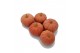 Cucurbita pepo Miss sophie pink 12 (1058) 