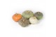 Cucurbita Modern Mix 12 (1034) 