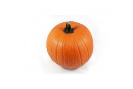 Cucurbita maxima halloween 15-20 oranje 4 (1052)