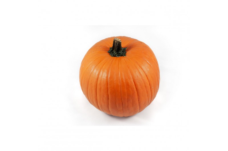 Cucurbita maxima halloween 15-20 oranje 4 (1052) 