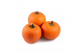 Cucurbita maxima halloween 15-25 oranje 3 (1051)