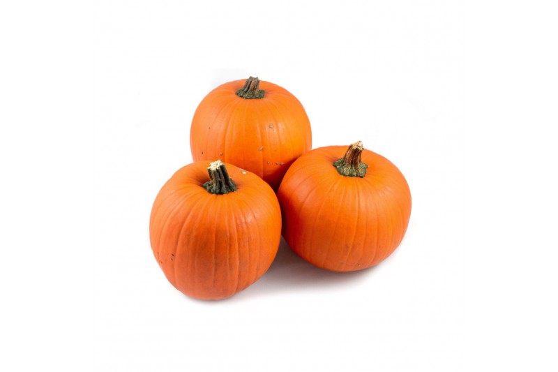 Cucurbita maxima halloween 15-25 oranje 3 (1051) 