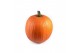 Cucurbita maxima halloween 20-40 oranje 2 (1050) 