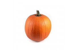 Cucurbita maxima halloween 20-40 oranje 2 (1050)